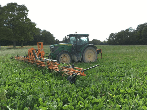 Entretien - Ecimeuses - Ecimeuse SELAC