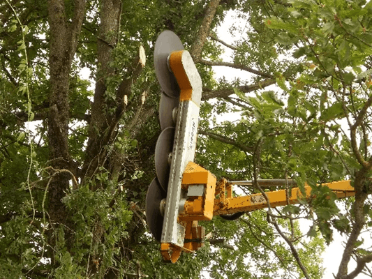 Entretien - Epareuses - Lamier d'élagage modulaire